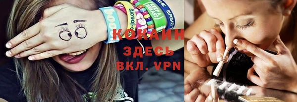 spice Аркадак