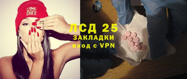 spice Аркадак