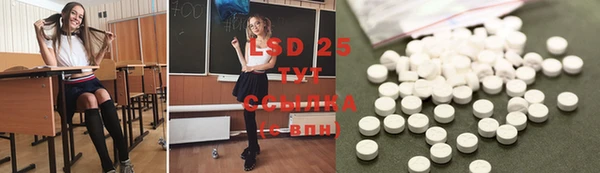 spice Аркадак