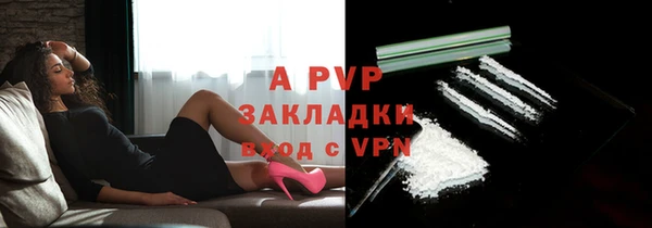 spice Аркадак