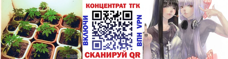 ТГК вейп с тгк Почеп